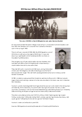 A preview of a PDF biography for Burdett, Norman William Ellison